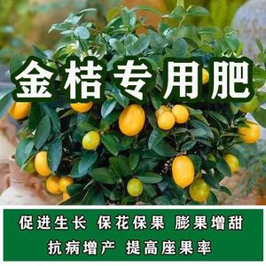 金桔苗专用肥料绿叶花多多有机复合肥水果树肥高产植物盆栽地栽肥