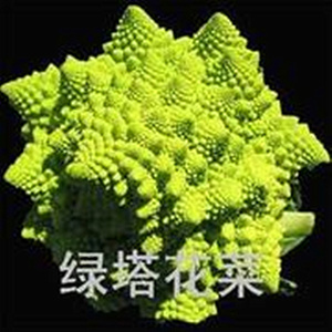 宝塔菜种子黄花椰菜绿菜花金菜花种子特菜种子盆栽蔬菜种子包邮