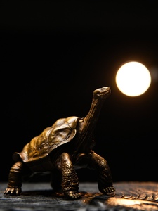 博物志工作室乌龟系列陆龟茶宠昂首加拉帕戈斯象龟铜雕模型摆件