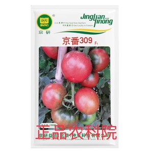 京番309大果草莓西红柿种子北京农科院高产京研番茄蔬菜种子20粒