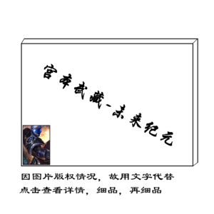 创意diy数字油画王者荣耀游戏填色宫本武藏未来纪元角色人物挂画