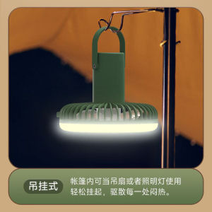 DP久量（Durationpower）户外野餐露营灯挂立两用小风扇型照明灯