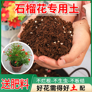 石榴花专用土植物营养土多元土花卉盆栽培养土家用土壤养花通用型