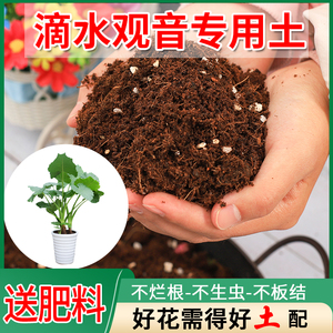 滴水观音专用土蛭石营养土盆栽土养花通用型土壤种植土种花泥炭土