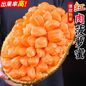 海南红肉菠萝蜜一整个9-20斤红心泰八菠萝蜜当季水果整箱包邮爆甜