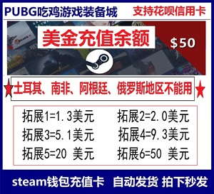 PUBG绝地求生美国区steam充值卡123456780美金钱包余额码美元美刀