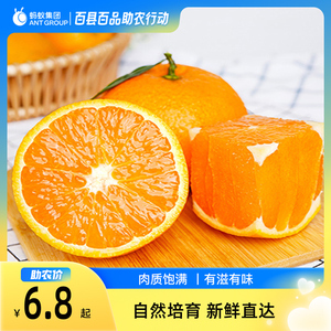 【百县百品】永顺冰糖橙新鲜水果橙子9斤当季整箱超甜应季手剥橙