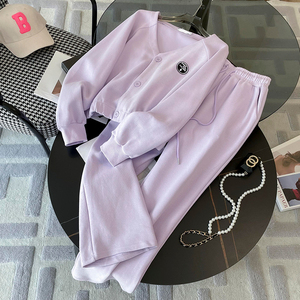 盐系炸街休闲运动套装女春2024新款洋气减龄V领紫色卫衣两件套潮