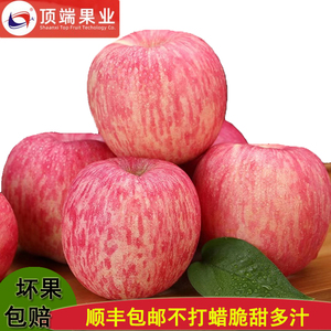延安洛川红富士苹果陕西新鲜水果整箱20枚75精品礼盒装顺丰包邮