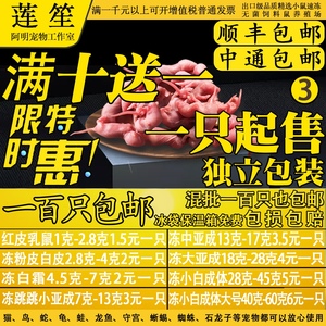 饲料鼠冻真空冰冻冷冻小白鼠乳鼠白霜粉皮亚成体鼠裸鼠爬宠喂蛇吃