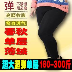 300斤秋冬加肥加大码女裤莫代尔精棉弹力拉绒薄款夏款胖mm打底裤