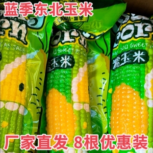 蓝季东北糯玉米240g*8支黑龙江原产甜黄玉米真空包装早餐非转基因