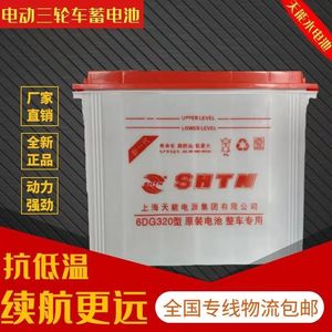 上海天能水电池6DG180-200-260-320-400型电动拉货拉客三轮车电瓶