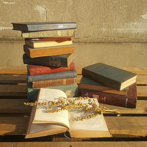复古英文二手旧书古董书陈年老摆件拍摄背景外文桌面装饰书拍照