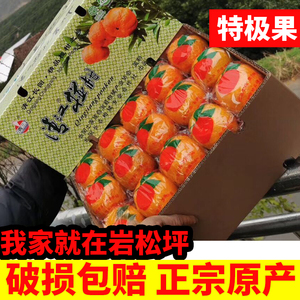 正宗长阳清江岩松坪椪柑蜜桔橘子水果薄皮化渣甜特级45个装礼盒