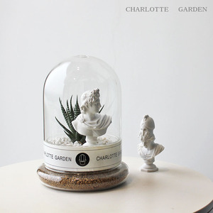 Charlotte 多肉植物 仙人球仙人掌 玻璃罩盆栽 室内绿植 创意礼物