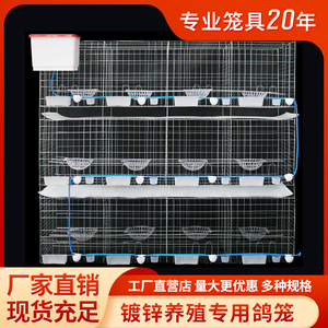 16位肉鸽养殖笼12位种鸽子繁殖笼大号配对鸽笼鸽子笼子养殖笼家用