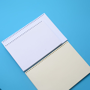 纯白色30孔和A4纸一样大的活页打印纸 空白替芯 100克 加厚复印纸