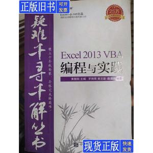 疑难千寻千解丛书 Excel 2013 VBA编程与实践 罗刚君、章兰新、陈
