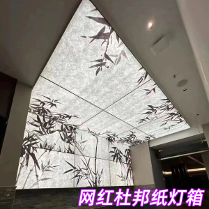 杜邦纸灯箱透明肌理室内背景墙网红店透光源软膜天花吊顶装饰材料