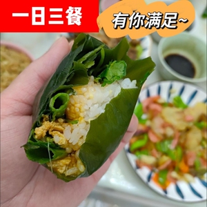 大连新鲜盐渍海带饭包5斤整箱野生海带苗薄嫩脆包饭凉拌火锅食材