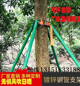镀锌钢管树木支撑架金属铁抱箍固定器园林绿化防风大树撑杆