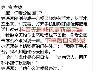 包更新 许云稚谢晏之/林语熙周晏京/林洛桑裴寒舟小说 深情诱引