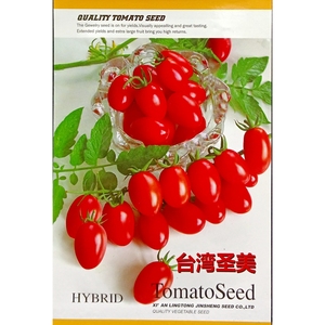 台湾圣美小番茄大红果圣女果种子长椭圆型果樱桃小西红柿300粒/袋