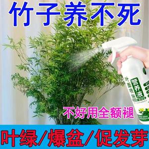 喜酸植物营养液竹子肥料专用肥红竹米竹黄叶干尖水培土培植促生长
