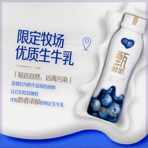 新品纯甄甄酸奶蓝莓味风味酸牛乳PET瓶230g×10瓶