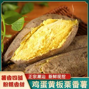 广东潮汕农家自种现挖新鲜9斤板栗薯香甜粉糯白皮鸡蛋黄番薯地瓜