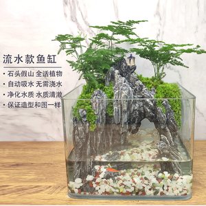 流水版苔藓微景观生态瓶鱼缸文竹盆栽盆景植物室内绿植办公桌水培