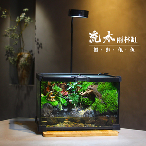 创意桌面苔藓微景观爬宠玻璃饲养箱角蛙水龟雨林缸成品发货好耐养