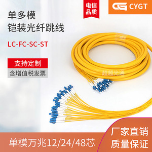 万兆单模4芯8芯12芯24芯48芯集束分支光缆光纤跳线LCSCFCST电信级