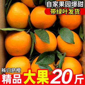 【伦晚已下市】正宗湖北秭归脐橙新鲜水果橙子10斤大果夏橙榨汁橙