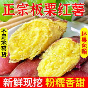 板栗红薯新鲜10斤现挖蜜薯糖心番薯黄心农家自种粉糯甜鸡蛋黄地瓜