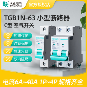 天正电气TGB1N-63小型断路器1P2P家用空气总开关3P16A32ADZ47电闸