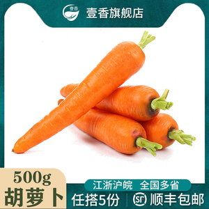 壹香 大胡萝卜500g 农家新鲜蔬菜沙拉食材生吃宝宝辅食 满5件包邮