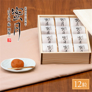 日本直邮纪州南高梅中田食品蜜月蜂蜜梅大梅礼物12枚入盐分3%木盒