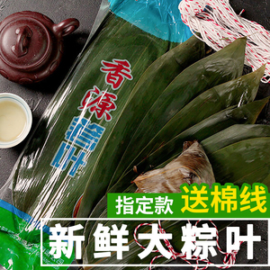 香源粽子叶新鲜真空包装粽叶子野生箬叶包粽子叶专用棕叶大码家用