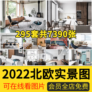 北欧风格2024家装修设计效果样板间软装客餐厅实景图照片素材X16