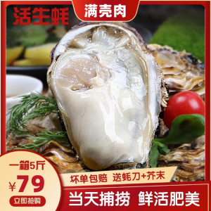 连云港生蚝鲜活海蛎子5斤 海鲜烧烤食材（送工具）