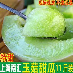 超甜软糯上海南汇玉菇甜瓜新鲜时令水果整箱玉茹香瓜10斤绿肉5斤