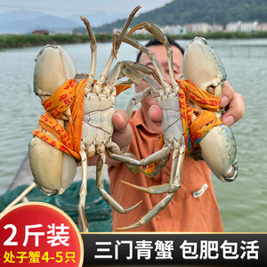 2斤（3-5只）三门青蟹鲜活水产海鲜特大公蟹母蟹肉蟹处子蟹礼盒装