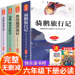 全套4册 骑鹅旅行记六年级下册必读的课外书原著正版爱丽丝漫游奇境 鲁滨逊漂流记 汤姆索亚历险记老师推荐书目快乐读书吧尼尔斯SS