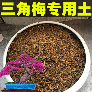 三角梅专用土三角梅花盆景专用土盆栽酸性沙质泥炭红土种植土肥料