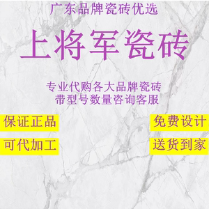 上将军瓷砖现代侘寂客卧室大板连纹微水泥柔光卫生间墙面地面瓷砖