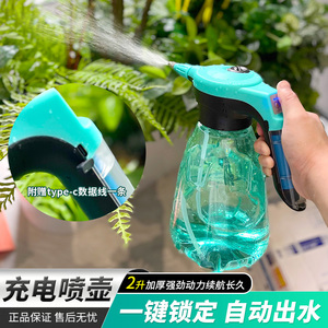手提式电动喷壶浇花家用洗车高压喷壶消毒便携小型充电式喷雾器2L