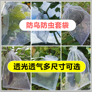 果树防虫网袋草莓防鸟防虫网眼袋西红柿番茄桃子葡萄专用水果套袋