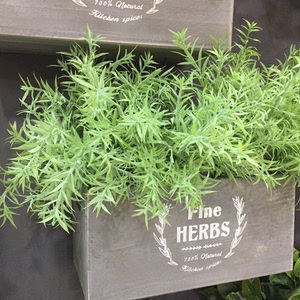塑料仿真绿植白绿色小草水草叶子背景墙 DIY制作配件插花配草花槽